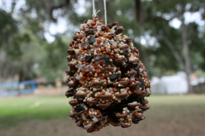 11 Impressive Pine Cone Bird Feeder Ideas