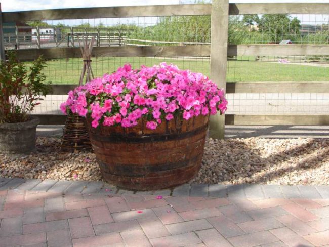 Madly Whimsical Wine Barrel Planter Ideas